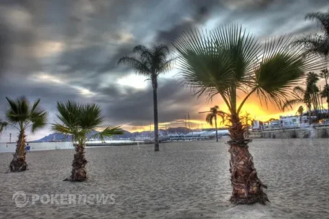 Are Prediction Markets Changing How we Predict the Weather?